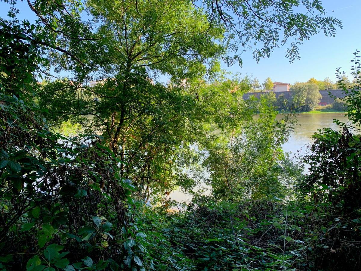 Rives Occitanes, Appartement Toulouse Purpan Exterior foto